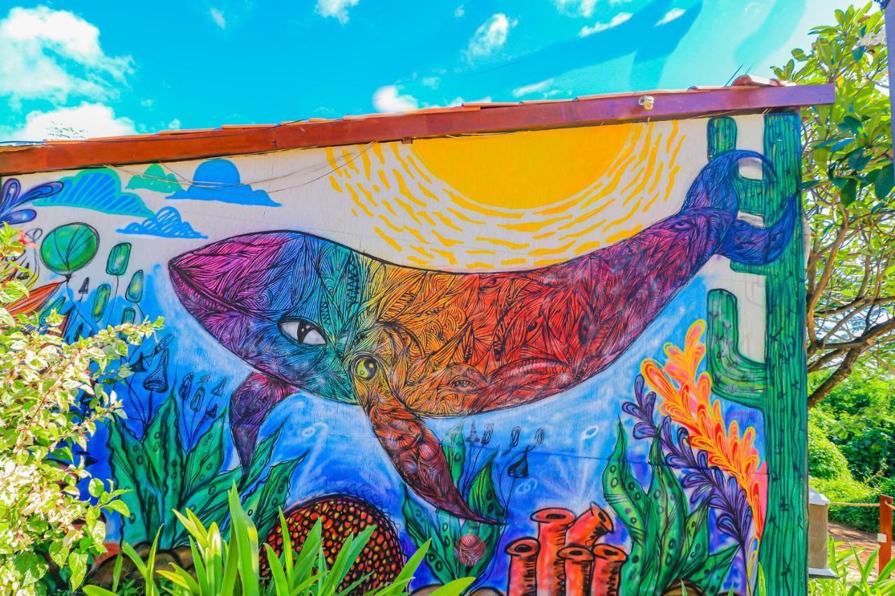 Boldro Surf House Fernando de Noronha